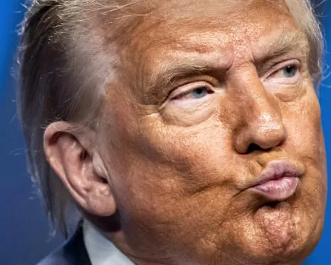Trump vs Reality Overview: Few Channel Would Dare TV So Daring (while also) Exhausting