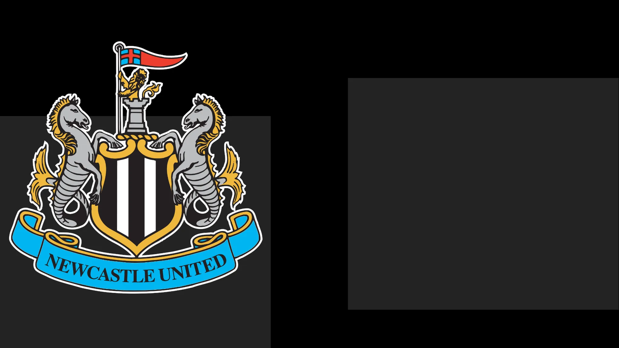 Newcastle Issue Formal Apology to Fans Following Ticket Issue