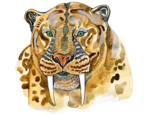 Children's Quiz: Unpacking Fascinating Questions On Nature