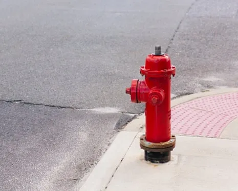During 2009, Which celebrity Smashed a Luxury SUV Straight into a Fire Hydrant?