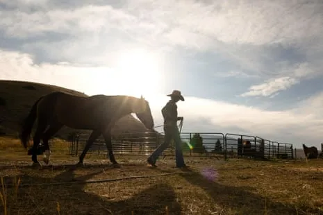 Get to Know the US Women Ranchers Redefining Contemporary Farm Life