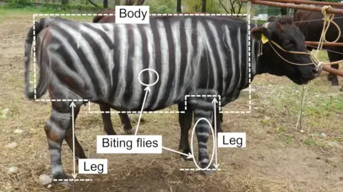 Striped Cattle and Teflon Food Win Humorous Research Honors