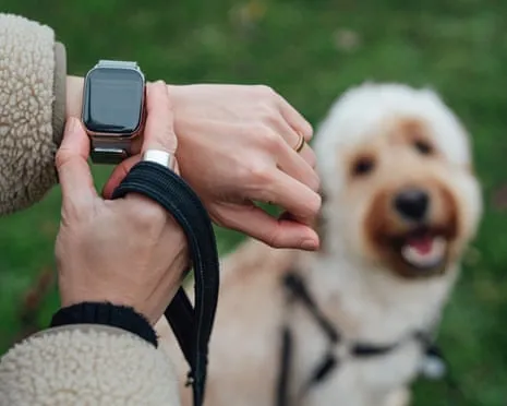 The Truth Concerning Smartwatches? Living Is Better Without a Hectoring Zealot on Your Wristwear